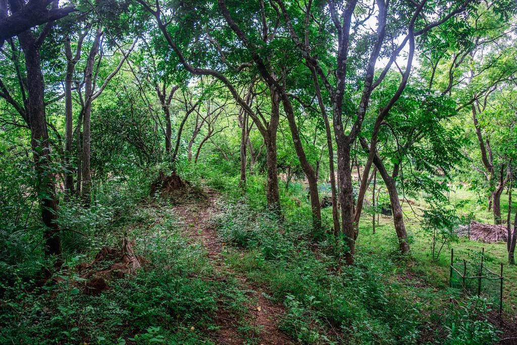 Wildescape Polonnaruwa Villa Buitenkant foto